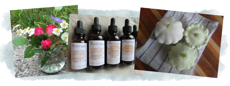 Collage of flowers,tinctures,squash