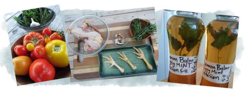 Collage of chicken parts and herbs, tomatoes, herbal infusions