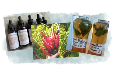 Tinctures, Carrots, Herbal Infusions